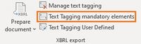 EN Word Screenshot toolsxbrl Prepare Text-Tagging.jpg